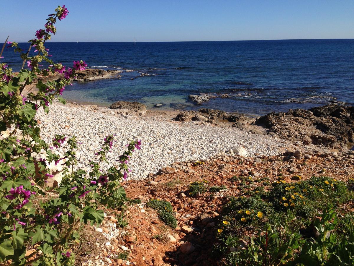 Tropicana Park Denia Εξωτερικό φωτογραφία